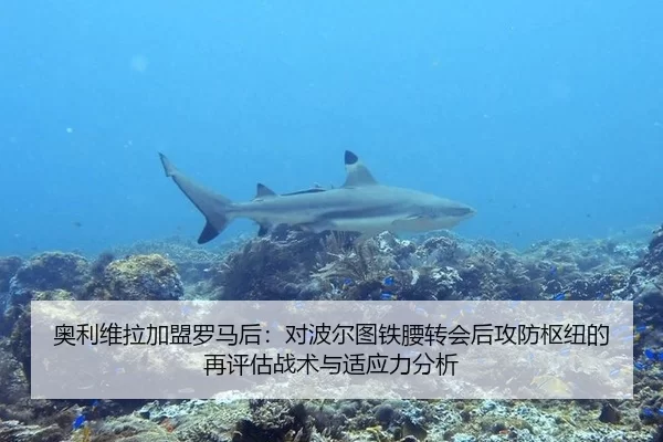 奥利维拉加盟罗马后：对波尔图铁腰转会后攻防枢纽的再评估战术与适应力分析